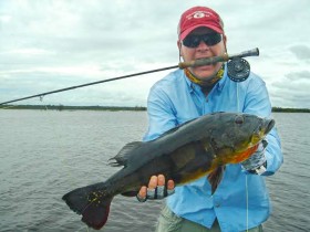 Experienced Fly Fishing Guides Brazil Peacock