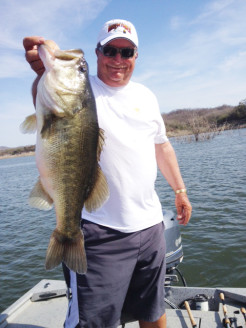 Pro Angler Denny Brauer landed this 8.5 lbs Picachos beauty!