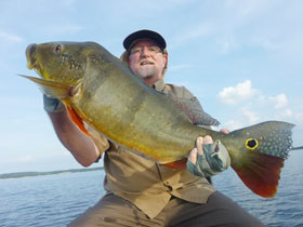 Charles Spivak peacock bass fishing in Brazil