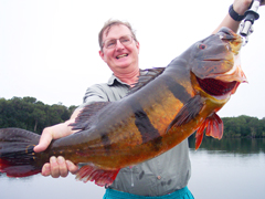 Want to land a giant peacock in excess of 20 pounds?