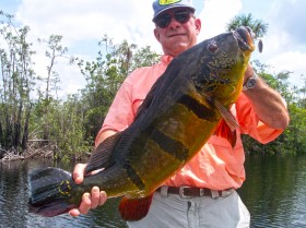 Bass Fishing contest Mexico and Brazil