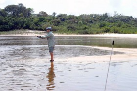 Fly Fishing for Peacock Bass in Brazil