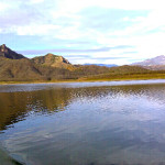 beautiful comedero with no nets