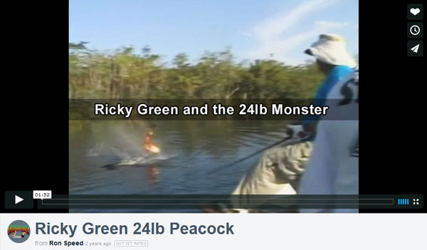 Ricky Green and the 24lb Monster!
