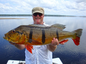 Brazil peacock bass 24 lbs