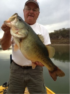 Steve Bauer landed this 11 pound Comedero giant!