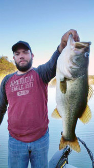 a small 10 pound consolation bass