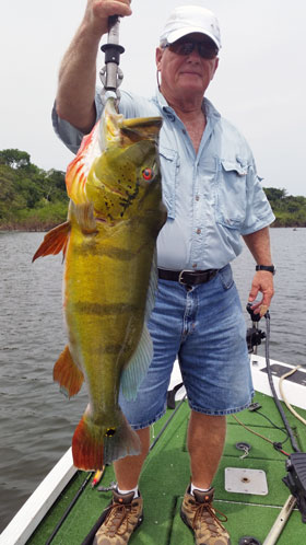 George Harris Showing off his big peacock!!