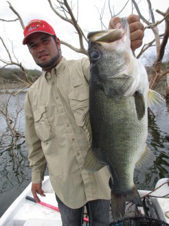 Guide Niko holding Ron Jrs 10lb Picachos giant!!!