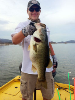 Giant Bass on Lake El Salto in Mexico