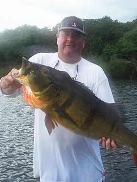 24 lb Peacock Bass