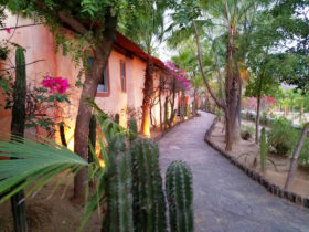 Sidewalk behind Dinning area