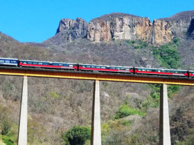 You may catch a view of the Copper Canyon train