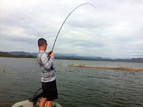 Picachos record bass fishing