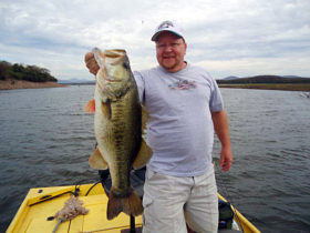 catching toads in Mexico