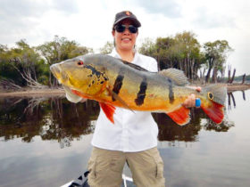 Rio Negro fishing in Brazil