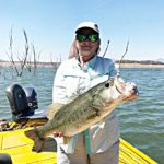 El-Salto—7-pounds-Cindy-Bednar-2018