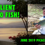 June2019PicachosUpdateFB