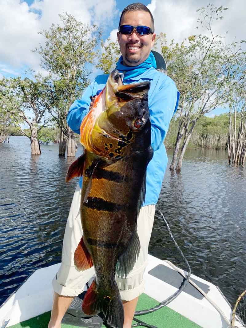 Spring 2020 Brazil Peacock Bass Update - Ron's Fishing Blog