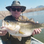 Salto Larry Ward 8.0 april 2021
