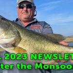 Fall2023NewsletterFBthumbnail