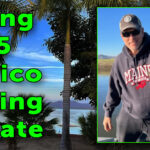 March2025NewsletterFBthumbnail