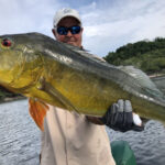 2026 Harrison group 1