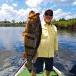 2026 client with peacock 1