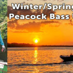 WinterSpring2026BrazilFBthumbnail