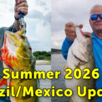 Summer2026NewsletterFBthumbnail